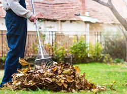How To Prepare Your Home For Fall